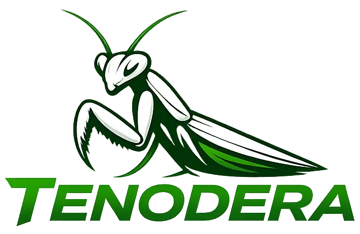 Tenodera